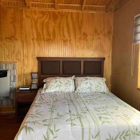 Apartamento Depto Huerto 23 Puerto Natales Exterior foto